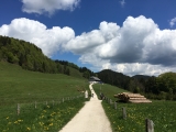 Blick auf die <b>Hocherbalm</b> (Foto gespeichert zu <a href=/wanderweg/hochfelln-seilbahnen-mittelstation-berggasthaus-steinberg-alm-380/>Weg</a>),#