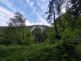 Blick zum Gipfelkreuz auf dem Schrofen (Foto gespeichert zu <a href=/wanderweg/schlipfgrubalm-wanderparkplatz-sagbruck-3240/>Weg</a>),#