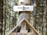 Gipfelkreuz im Wald (Foto gespeichert zu Ziel Schürfenkopf),#Foto: JuttaS