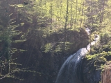 Hammersbachs-Wasserfall (Foto gespeichert zu Ziel Hammerbach-Wasserfall),#