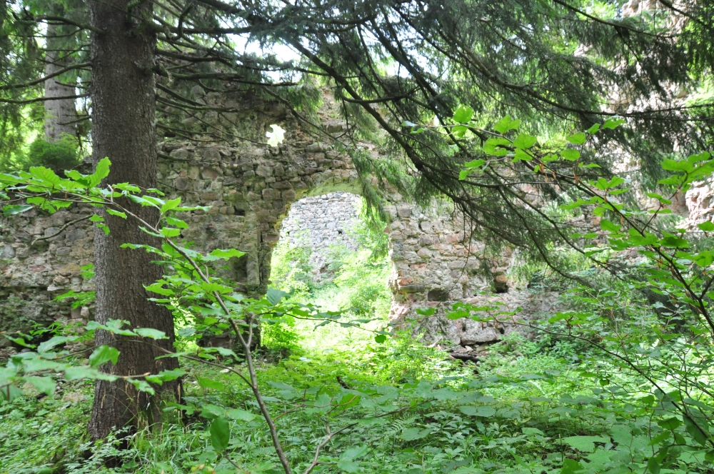 Nesselburg: Die Ruine Nesselburg