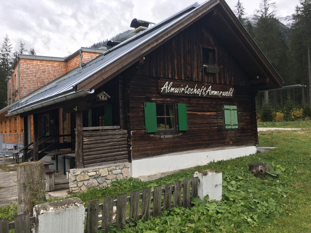 Ammerwaldalpe : Almwirtschaft Ammerwald