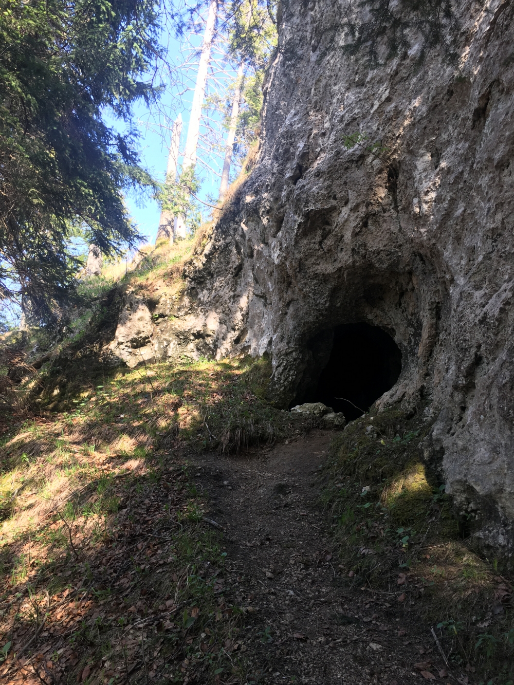 Eingang in die Höhle (Rauhwackenhöhle)