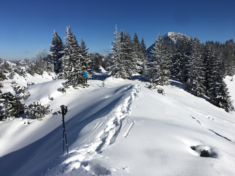 Aussichtspunkt Wallberg Fernrohr -> Grubereck: Am Grubereck im Winter