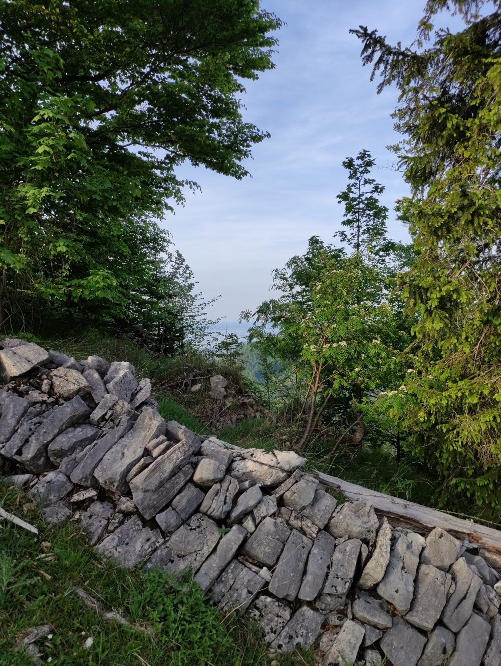 Sameralm -> Haindorfer Berg: An der Trockenmauer entlang