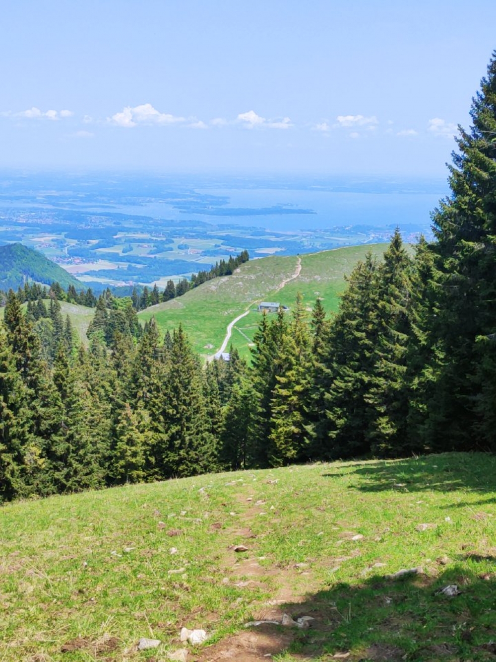 Laubenstein -> Heuraffelkopf: Abstieg zur Laubensteinalm
