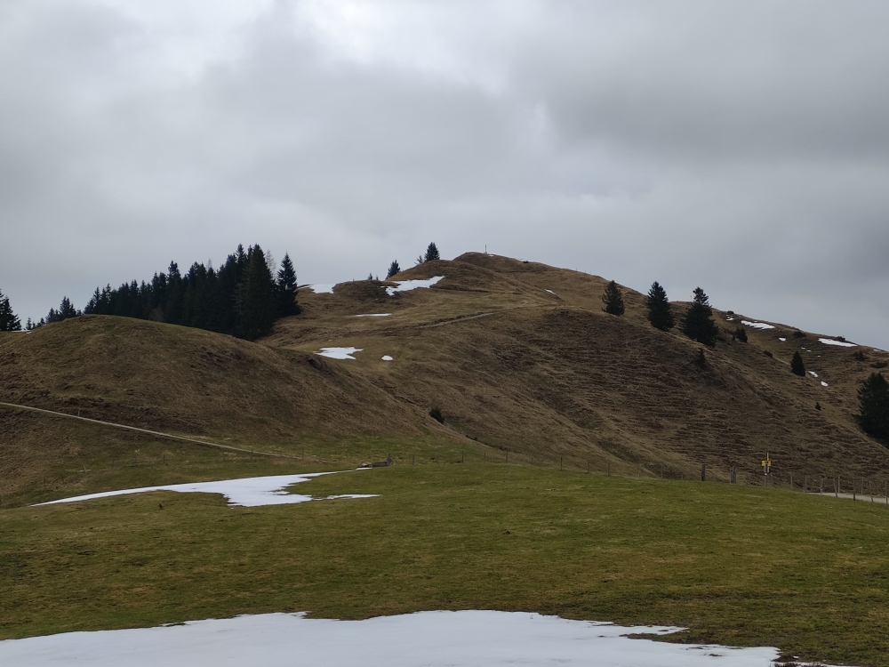 Hitscheralm -> Brennkopf: Zum Gipfel