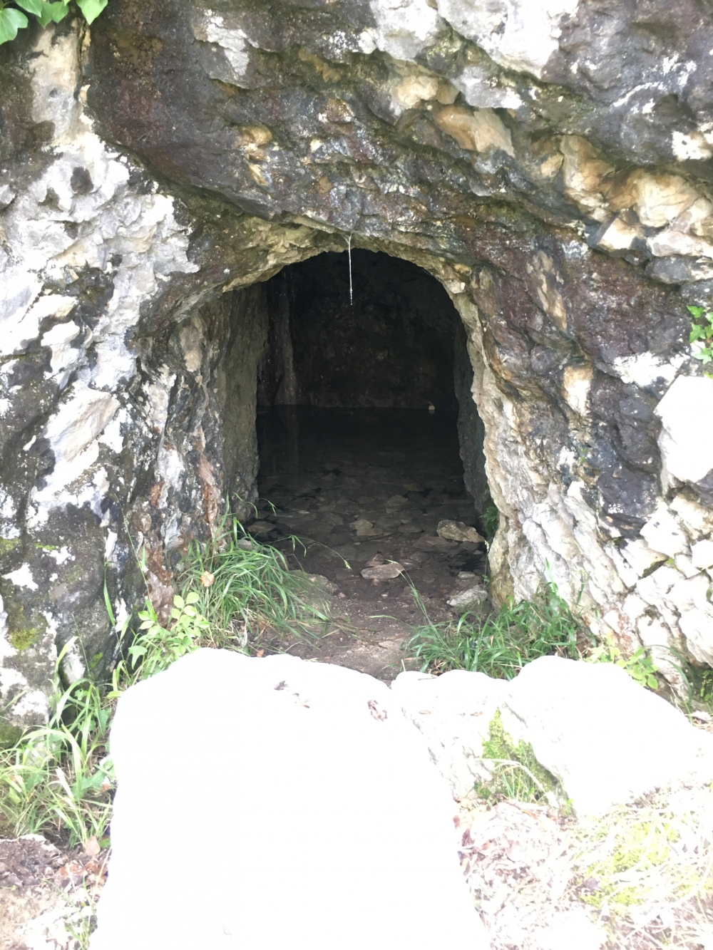 Höhle: Höhle am Wegrand (innen steht Wasser)