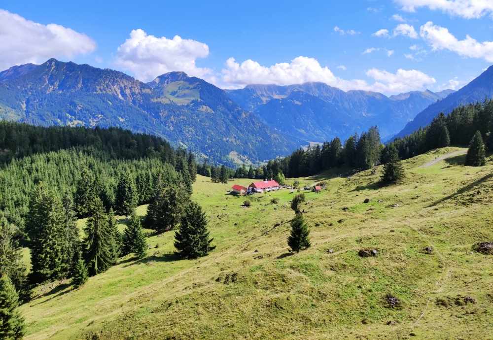 Hornbahn Bergstation -> Hornbahn Talstation: Blick auf die Horn-Alpe
