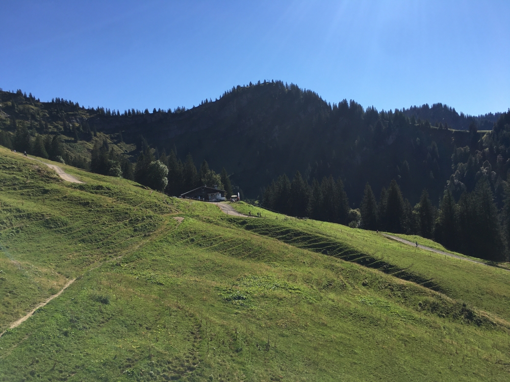 Obere Lauch Alpe -> Unterlauchalpe: Obere Lauch Alpe