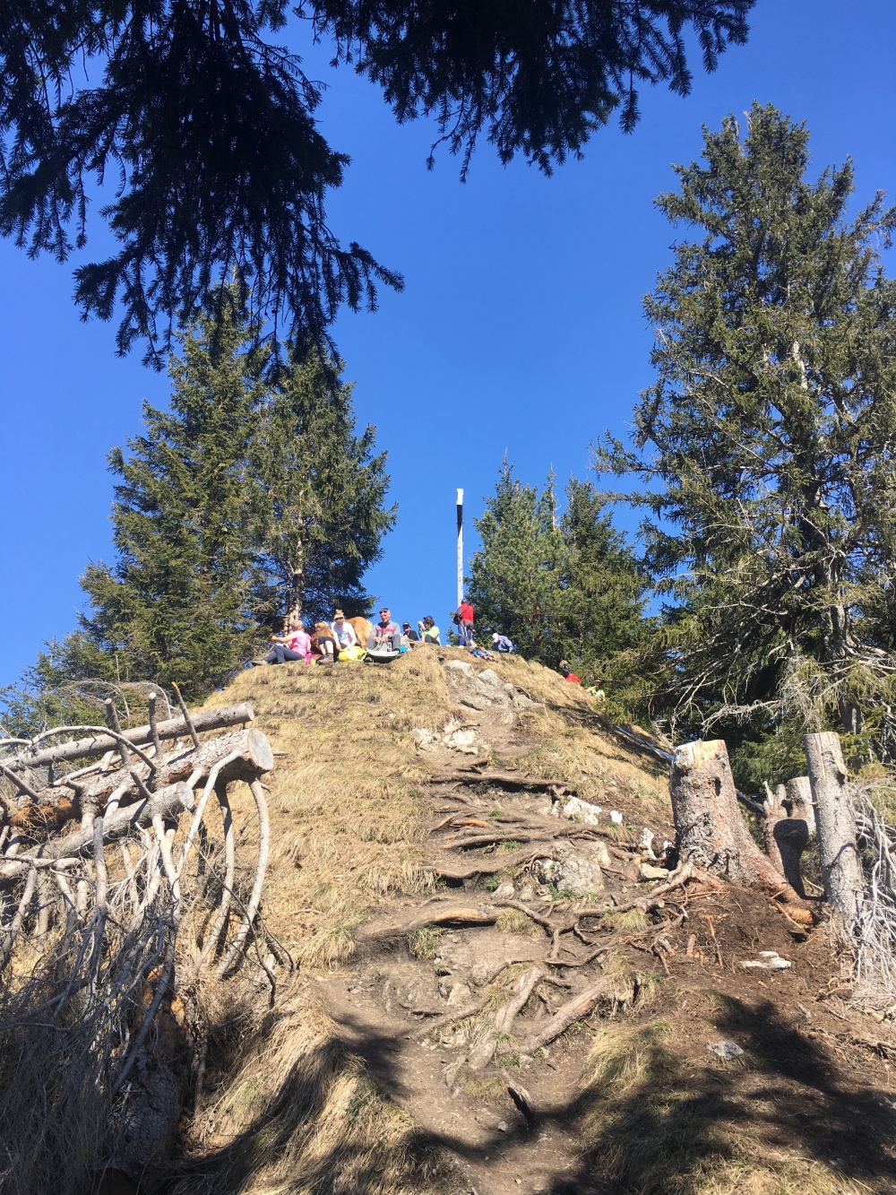 Heldenkreuz -> Osterfeuerköpfl: Am Gipfel