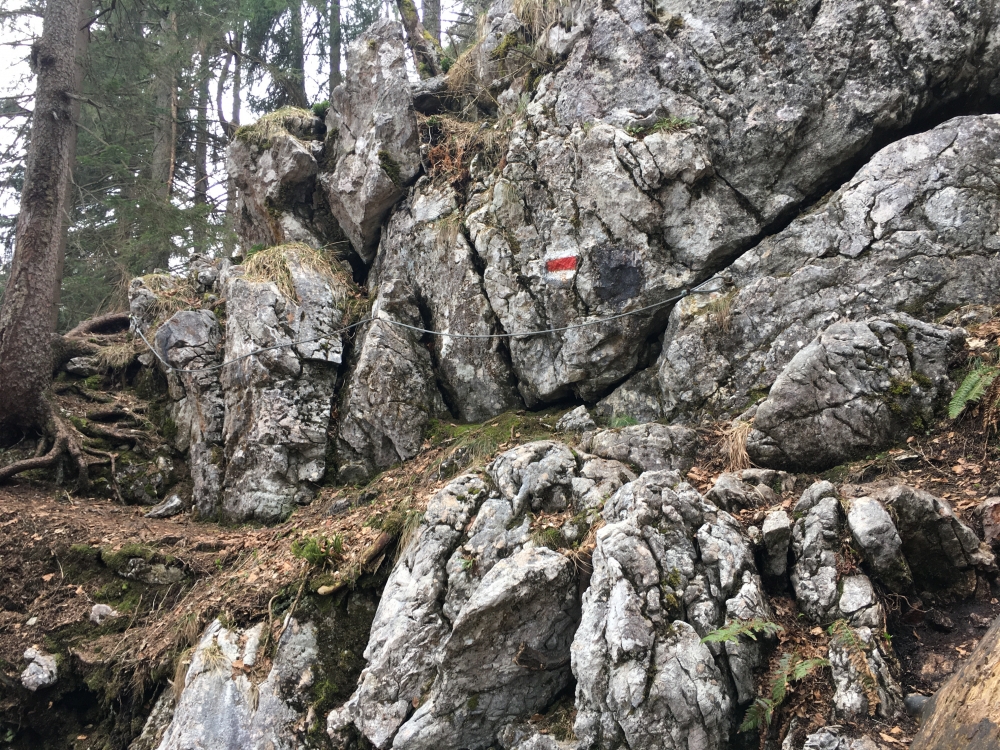 Pflasterbachhörndl -> Rabensteinhorn Nordgipfel: Kurze Seilsicherung unterhalb des Gipfels
