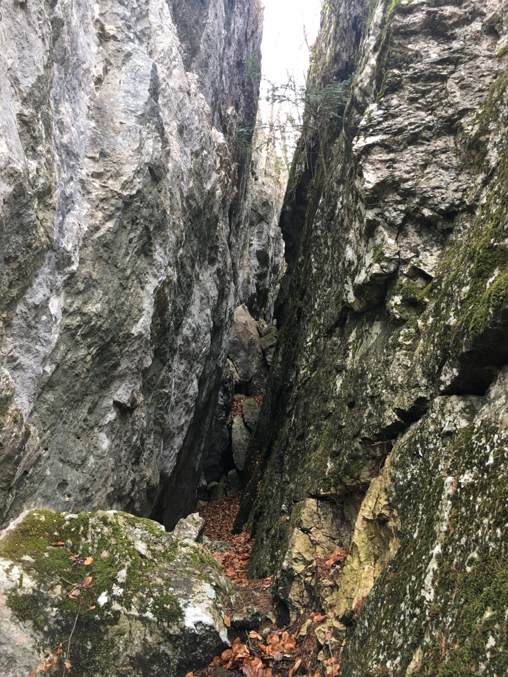 Blick vom südwestlichen Eingang in die Schlucht (durch einen Felssturz verblockt). (Rachelschluchthöhle)