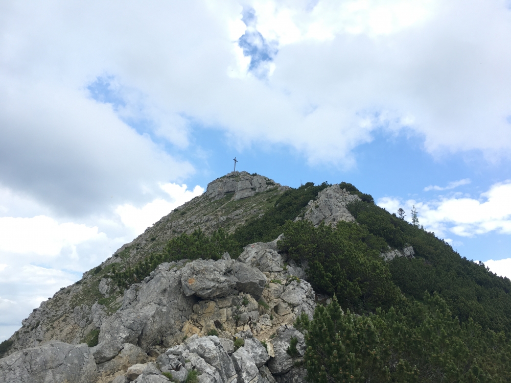 Aiplspitz -> Geitauer Alm: Aiplspitz-Gipfel vom Westgrat