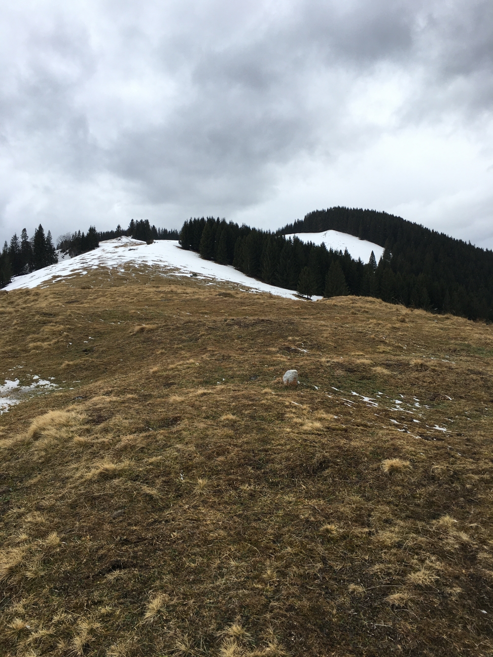 Scheibling -> Riesenkopfalmschacht: Nur eine Bodenmarkierung zeigt den Gipfel