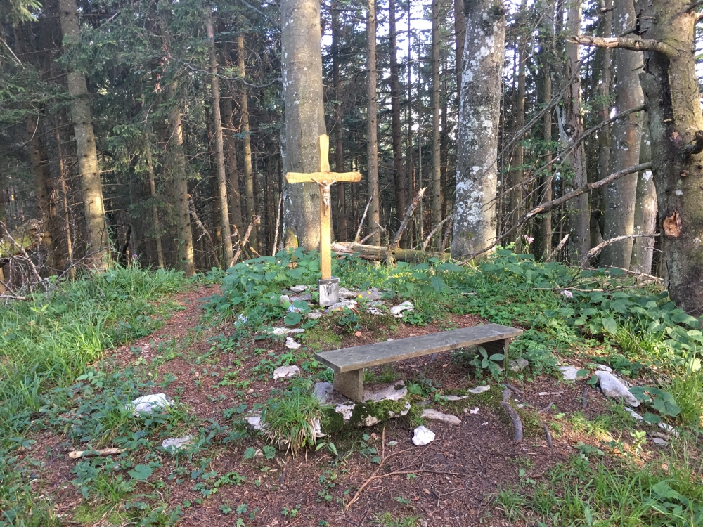 Schnappenberg: Kleines Gipfelkreuz auf dem Schnappenberg - leider ohne Aussicht