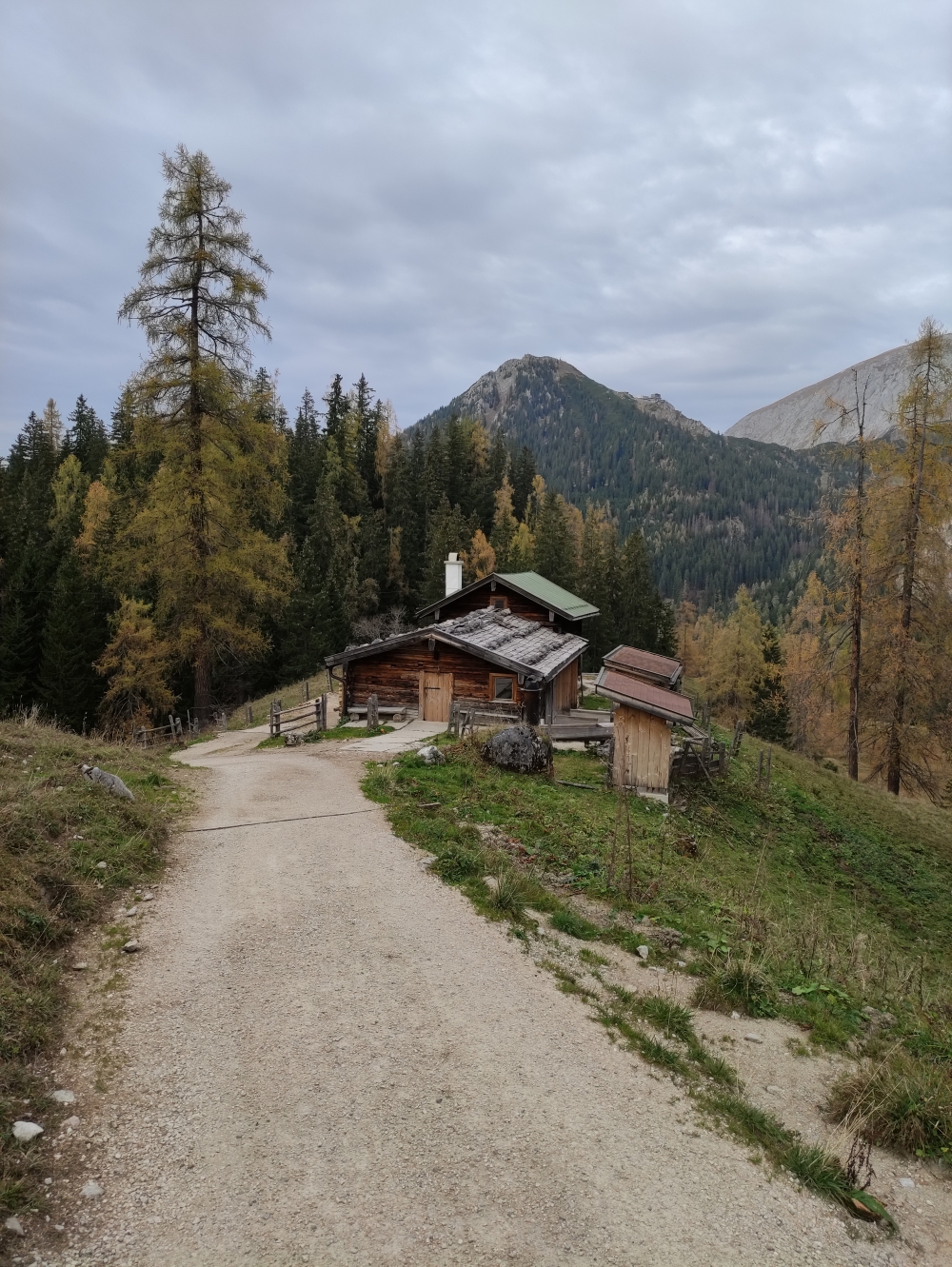 Priesbergalm -> Grassl-Enzianbrennhütte: Weg