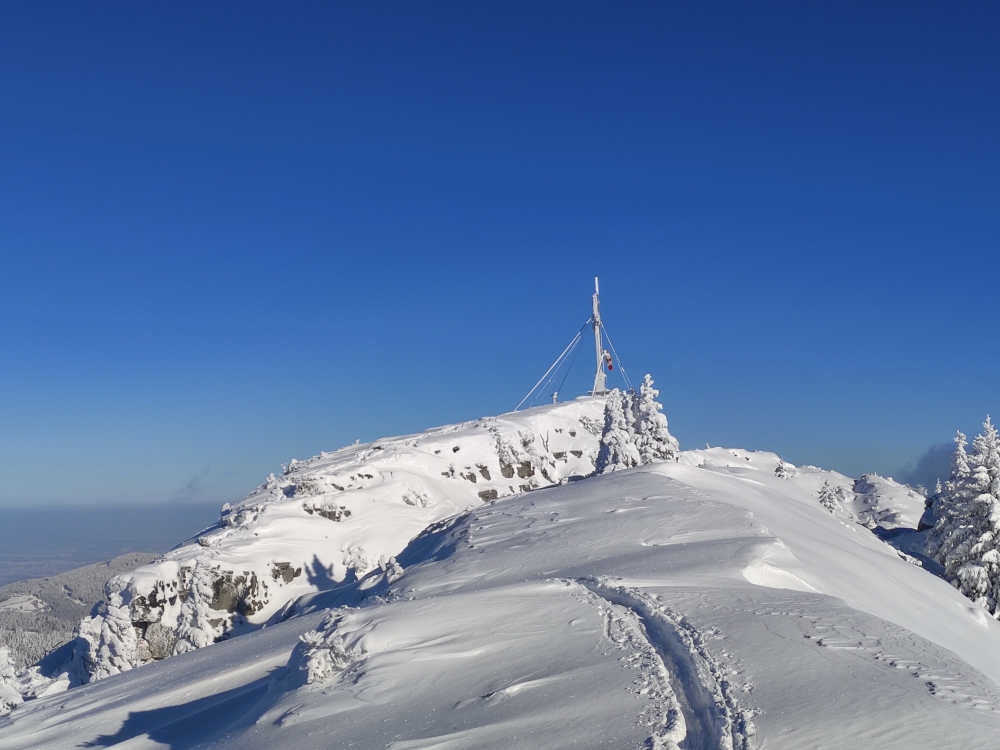 Wallberg: Gipfelkreuz im Winter
