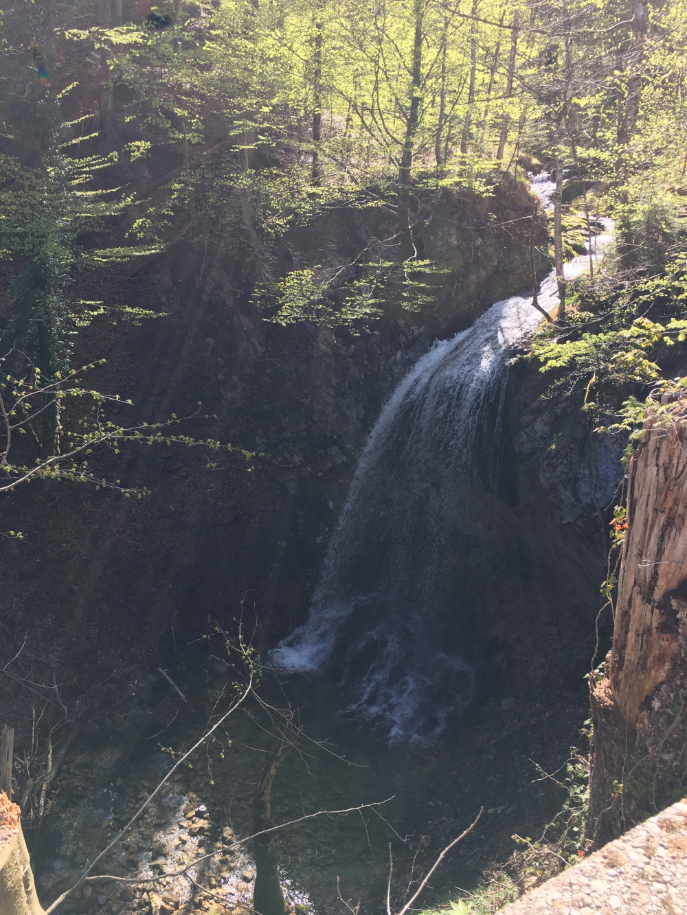 Hammerbach-Wasserfall: Hammersbachs-Wasserfall