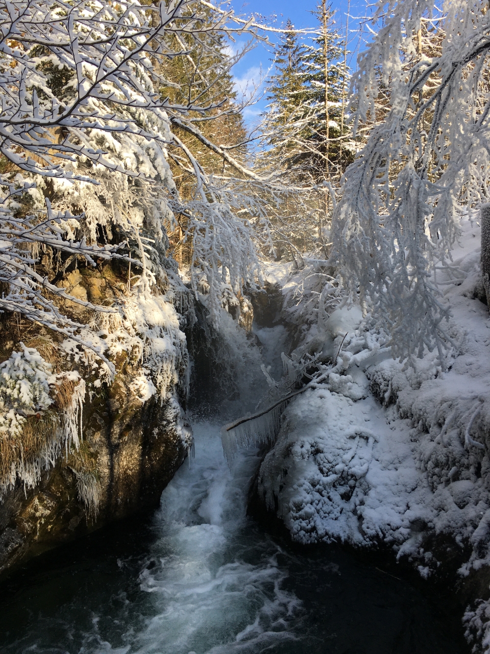 Wasserfall bei Schwaigeralm: Wasserfall im Winter