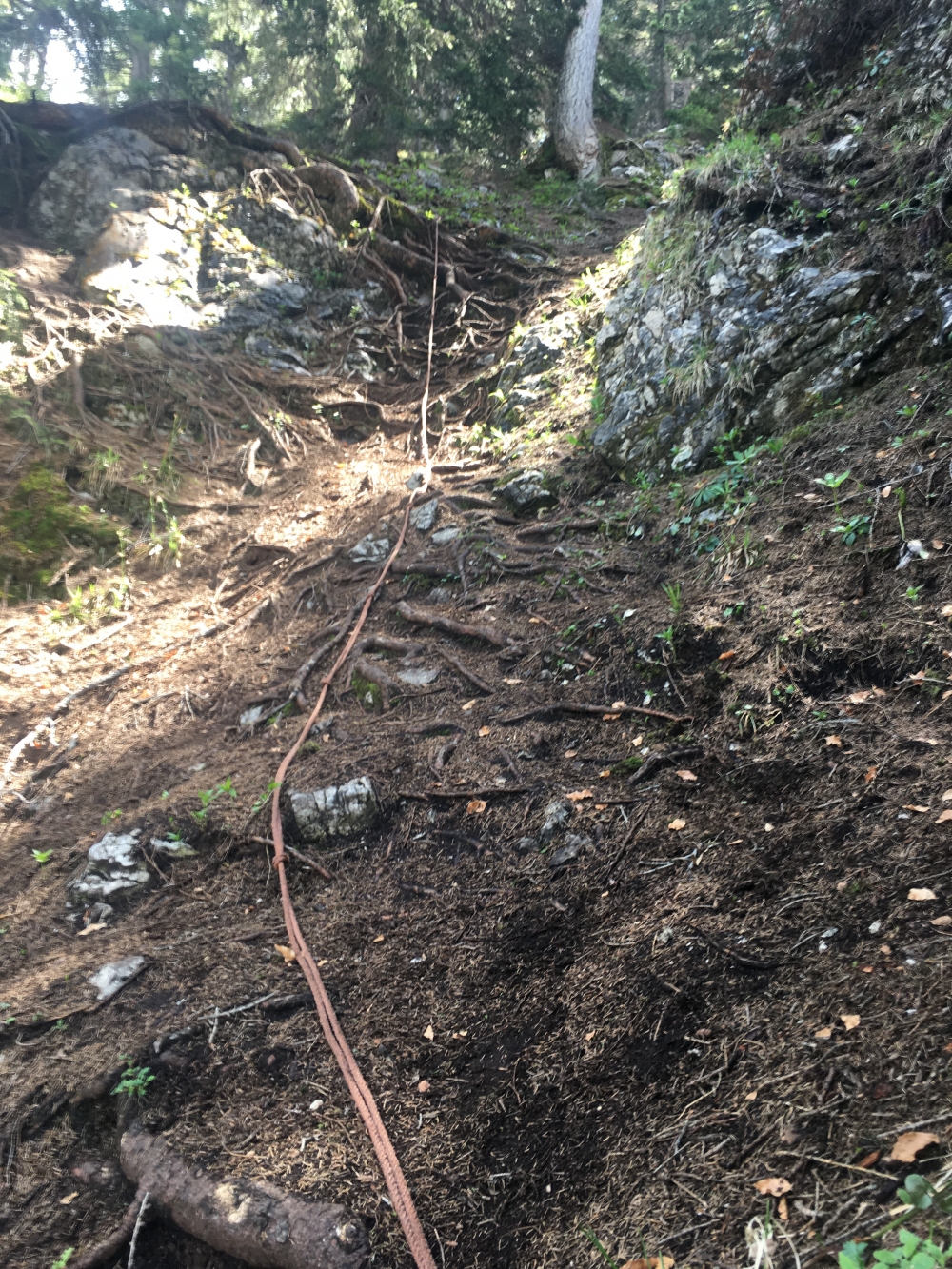 Stöfflhütte -> Zettenkaiserkopf: Ein Seil soll über die wurzlige Passage helfen