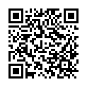 QR code zu den Gipfel  Bremstein