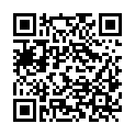 QR code zu den Gipfel  Schaufelspitze