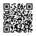 QR code zu den Gipfel Briniza