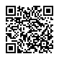 QR code zu den Gipfel  Palfner Seekogel