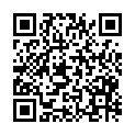 QR code zu den Gipfel Bleispitze