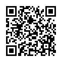 QR code zu den Gipfel  Punta Costan