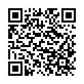 QR code zu den Gipfel Petit Van