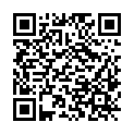 QR code zu den Gipfel  Burgstall