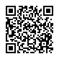 QR code zu den Gipfel  Bricasso