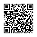 QR code zu den Gipfel  Steinkarspitze