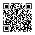 QR code zu den Gipfel  Grubenspitze