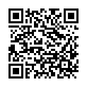 QR code zu den Gipfel  Wildalmriedl