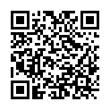 QR code zu den Gipfel  Plassen