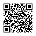 QR code zu den Gipfel  Veliki hrib