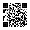 QR code zu den Gipfel  Mittlingbichl