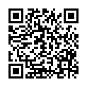 QR code zu den Gipfel Schaufelspitze