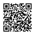 QR code zu den Gipfel  Punta Lavassey