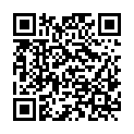 QR code zu den Gipfel  Bleijägerspitze