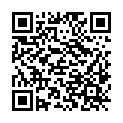 QR code zu den Gipfel  Burgstall