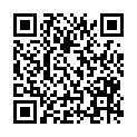 QR code zu den Gipfel  Pflughörndl