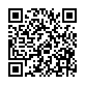 QR code zu den Gipfel  Punta Brendel