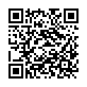 QR code zu den Gipfel  Turn v Skednju
