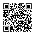 QR code zu den Gipfel  Blarenkogel