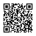 QR code zu den Gipfel  Plattenstein