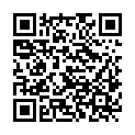 QR code zu den Gipfel  Steinkarspitze